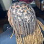 Natural Hair Two Strand Twist