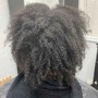 Root Touch Up