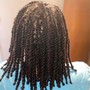 Bleaching Locs  (1-15)