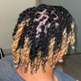 Bleaching Locs  (1-15)