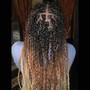 Senegalese/Rope/Marley Twist