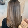 Balayage highlight/Ombre