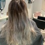 Root Touch Up