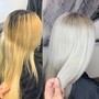 Root Touch Up & Tone