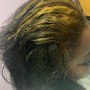 Partial Highlights