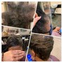 Transitioning (Big Chop)/Designer  Cut (No Shampoo)