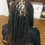 Havana Twists - Medium