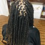 Havana Twists - Small