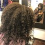 Root Touch Up