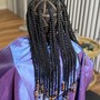 Shampoo/Condition Braid down (wig prep)