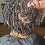 Starter Locs