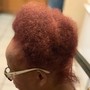 Root Touch Up