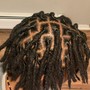 Passion Twists/Marley Twists