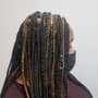 Box Braids (med)