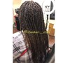 Medium Senegalese Twist Bras Length