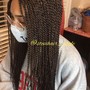 Kids Box Braids/Twists