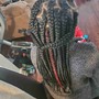 Medium Box Braids