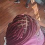 Medium Box Braids