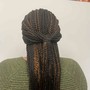 Tree Braids