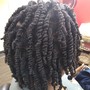 Two Strand Twist Out