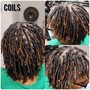 Comb Twist/Coils