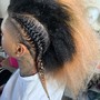 Med/lrg Plaits(braids or twists)