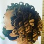 Comb Twist/ Twist Out