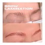 Brow Lamination + Wax + Tint