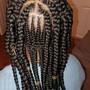 Tribal Braids small/medium