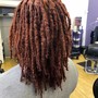 Shampoo/Deep Condition/Hydration