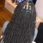 Large Senegalese Twists - Mid