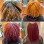 Accent Highlights