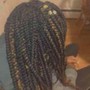 Starter Locs