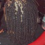 Starter locs (long hair