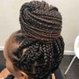 Medium Box Braids