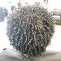 Root Touch Up