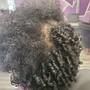 Root Touch Up