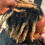 Root Touch Up