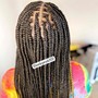 Mini Box Braids