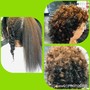 Natural Hair Flexi Rods