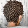 Two Strand Twists