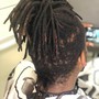 Starter Locs