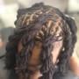 Starter Locs