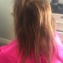 Extended ponytail