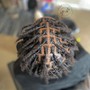 Re-twist(no style)