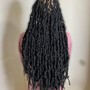 Senegalese Twist Medium Size