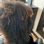 Root Touch Up