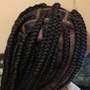 Large Senegalese/ Havana Twist