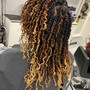 Root Touch Up