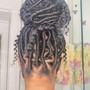 Starter Locs